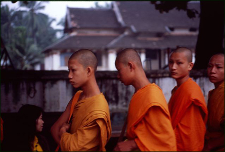 Monks awaiting breakfast, Luang Prabang, Laos